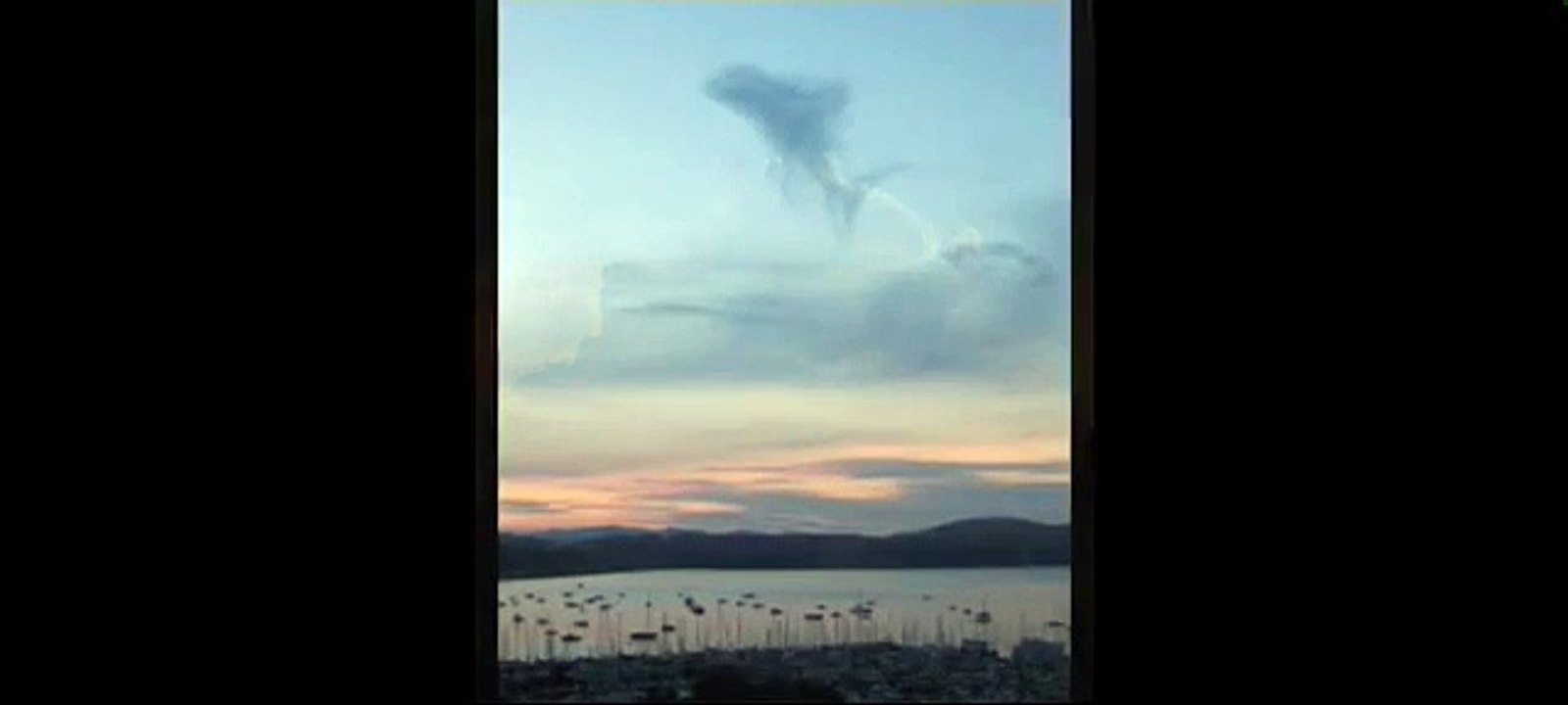 clouds that look like animals