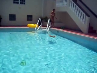 Chat qui nage dans une piscine