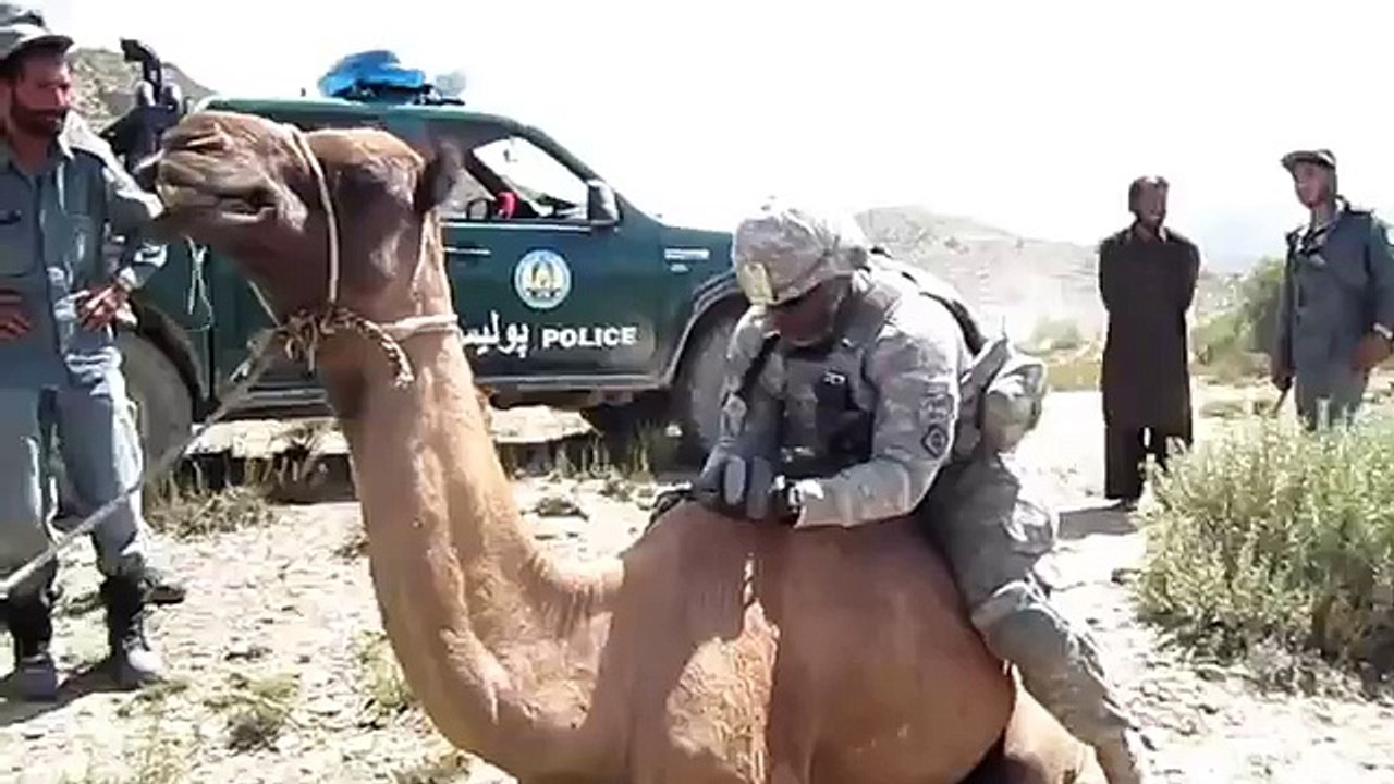 Camel kick a solder