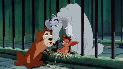 Lady and the Tramp_ He&#39;s a Tramp