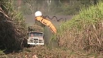 sugar cane harvester in australia