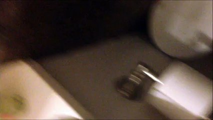 BTR-029: My 2008 Jacuzzi Espree toilet (part 1)