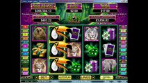 Slots Jungle Casino Review【CASINO GAME】