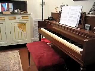 Elissa the Piano-Playing Bunny