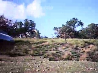 caccia al coniglio ad altavilla m.