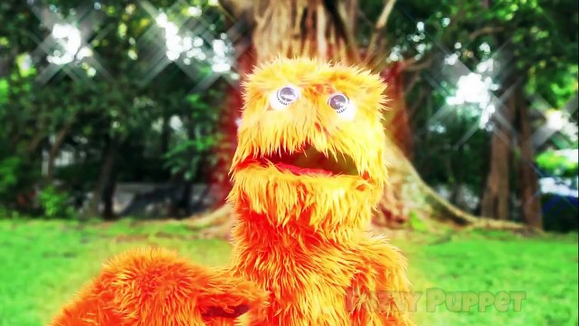 Cinderella Lyric Video | A Dream Is A Wish Your Heart Makes | Sing Along