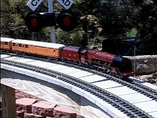 Aster Duchess of Sutherland