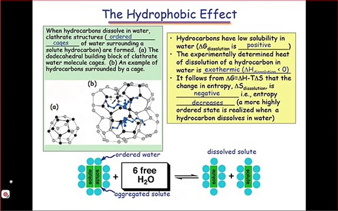 The Hydrophobic Effect