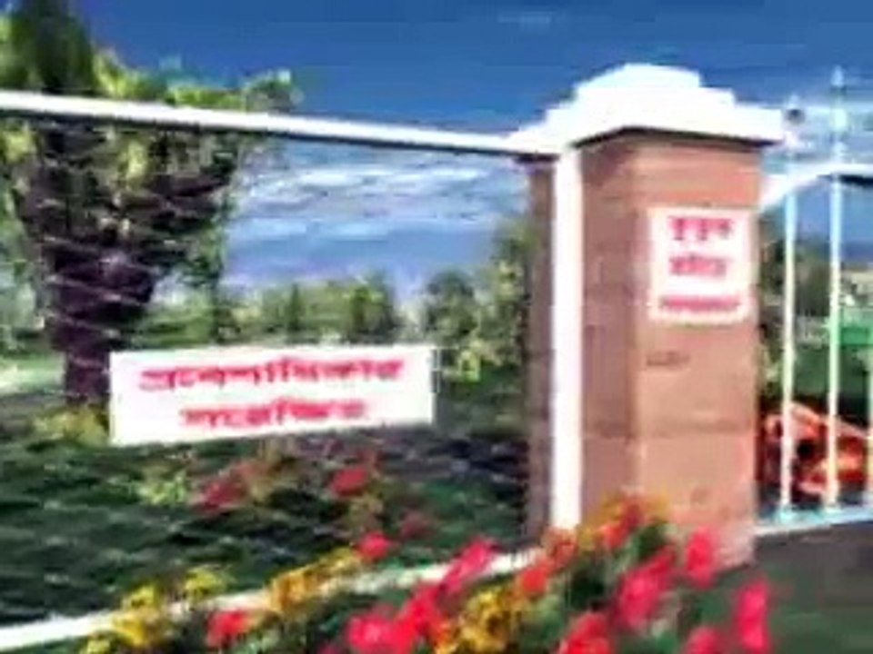 Bangla Cartoon   Cat Fishing