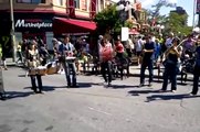 Asphalt Orchestra Plays Zombie Woof