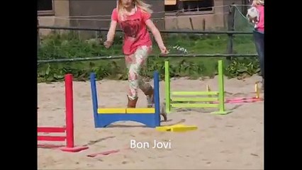 Konijn-Hop geheel los zonder tuigje en riem