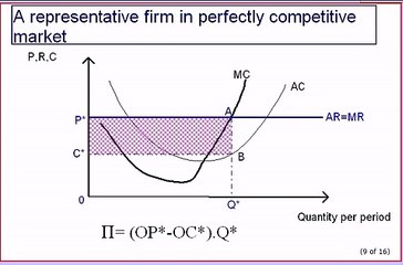 Profit Maximising Rules