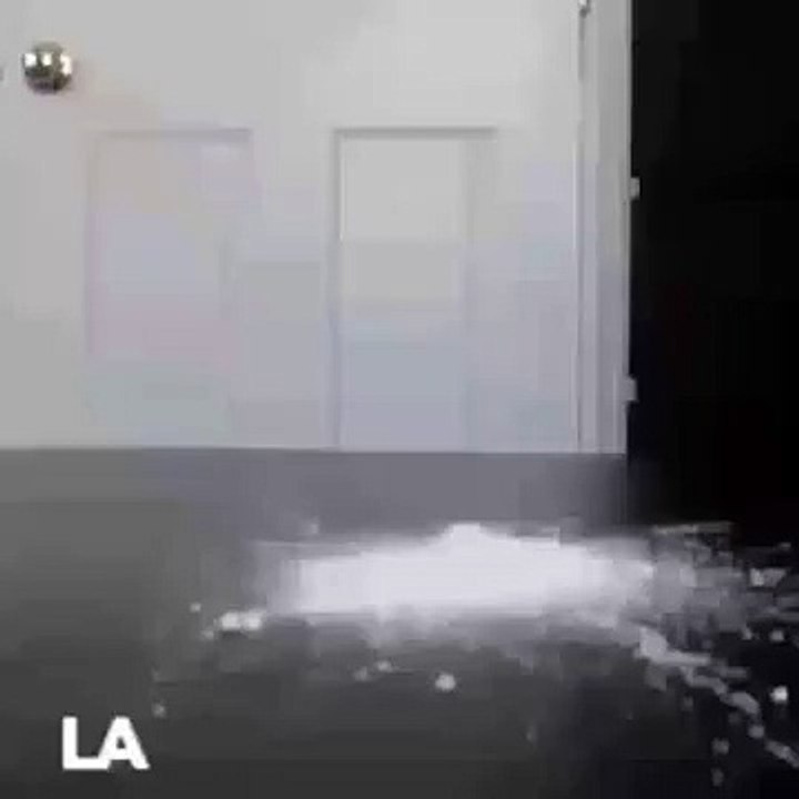 Cocaine Dinosaur