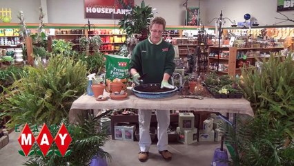 Earl May Garden Center - How to Create a Miniature Garden