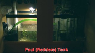 Pauls Tank