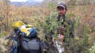 Mountain Caribou Hunt with Widrig Outfitters 2011