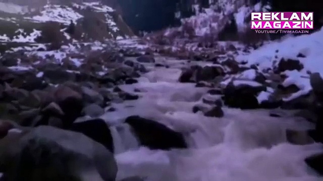 Petlas Kurt Reklamı