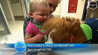 Koda the dwarf pony with Dr Chris Brown and The Circle