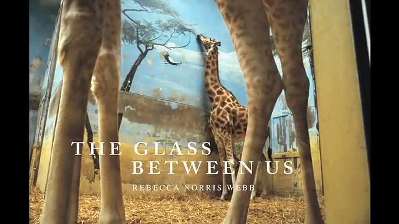 TCC PHOTO | GALLERY Blue Earth Alliance Exhibit Part3of3