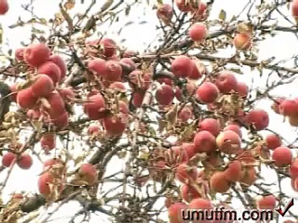 niğde