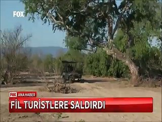 Öfkeli Fil yemek yiyen turistlere saldırdı turistler ölümden döndü