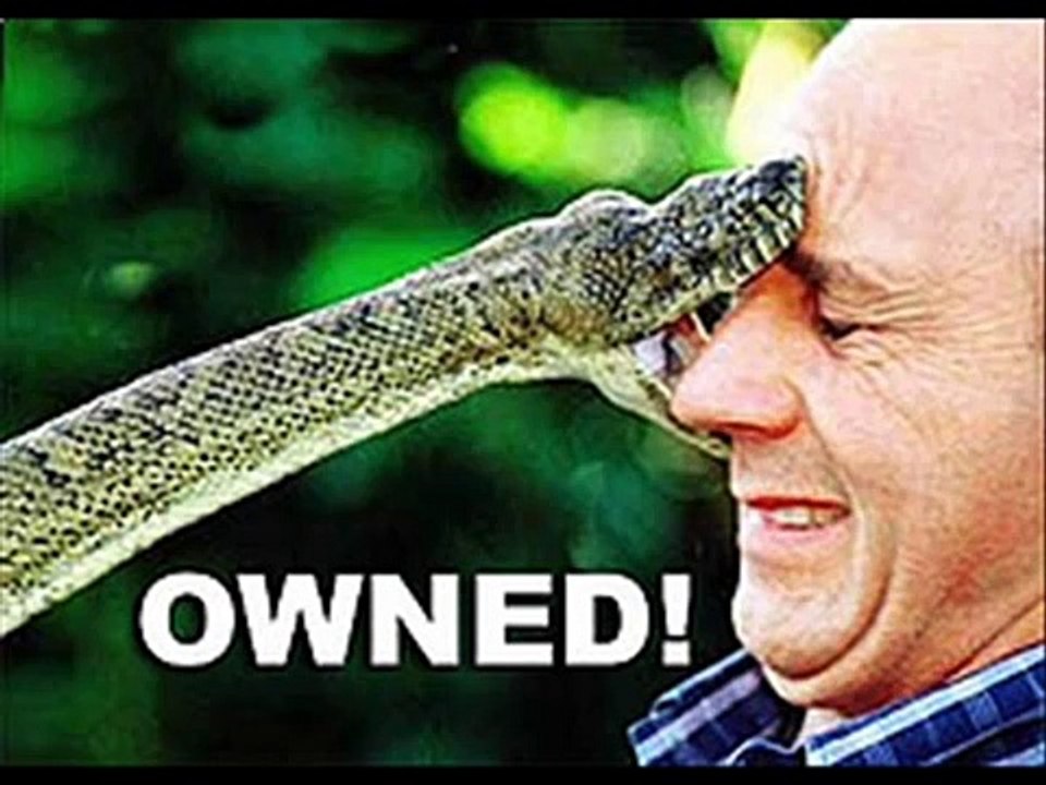 Funny/owned Compilation