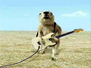 Happy Birthday, Prairie Dog Style!