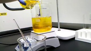 Bellevue College Chemistry Club Experiment: Belousov-Zhabotinsky Reaction