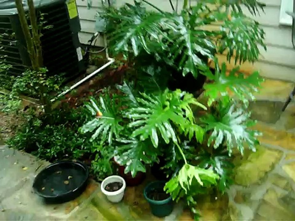 Atlanta Georgia Flooding destroyed  my home