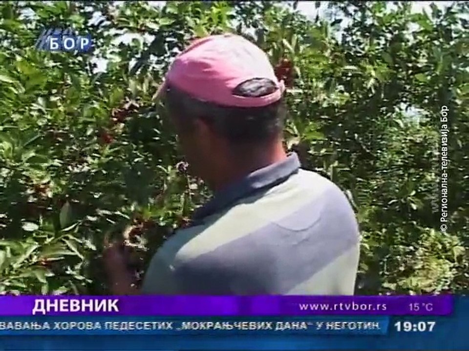 Dnevnik, 12. septembar 2015. (RTV Bor)