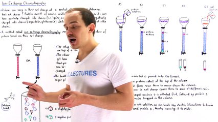 Ion Exchange Chromatography