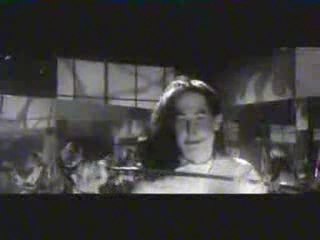 Segole royal en campagne