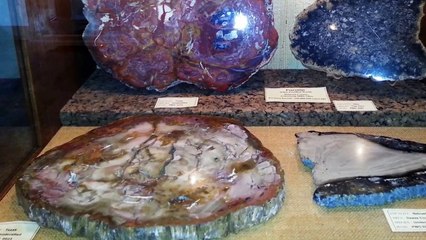 Petrified Wood & Art Gallery - Ogallala, Nebraska