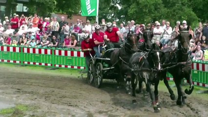 Donald Duck - Star der Thüringeti