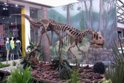 Culminó exhibición de fósiles en Bogotá