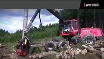 Waratah Harvesting Head on Komatsu Forest Machines