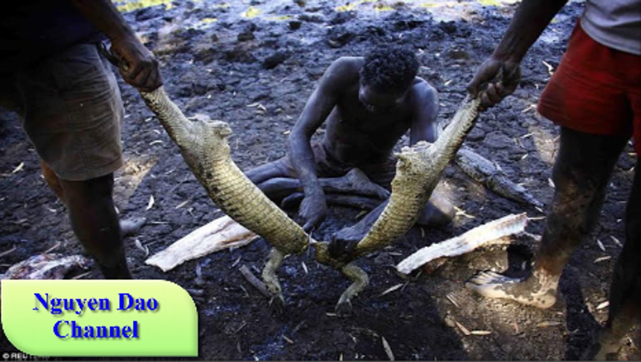 Thế Giới Động Vật - Kẻ Đi Săn Đáng Sợ Và Nguy Hiểm (Full HD ) Thuyết Minh