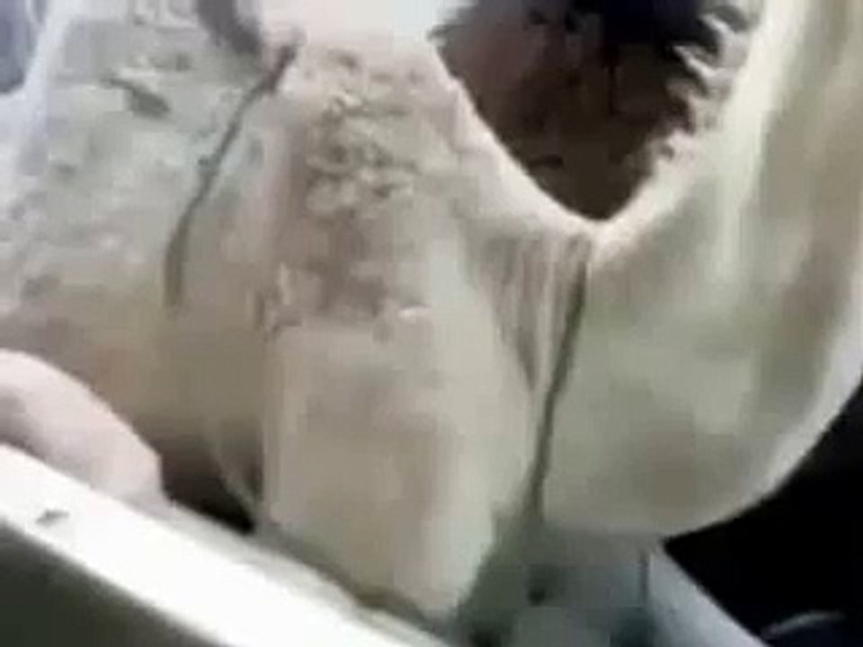 Camel Laughs Like Peter Griffin Funny Animal Videos