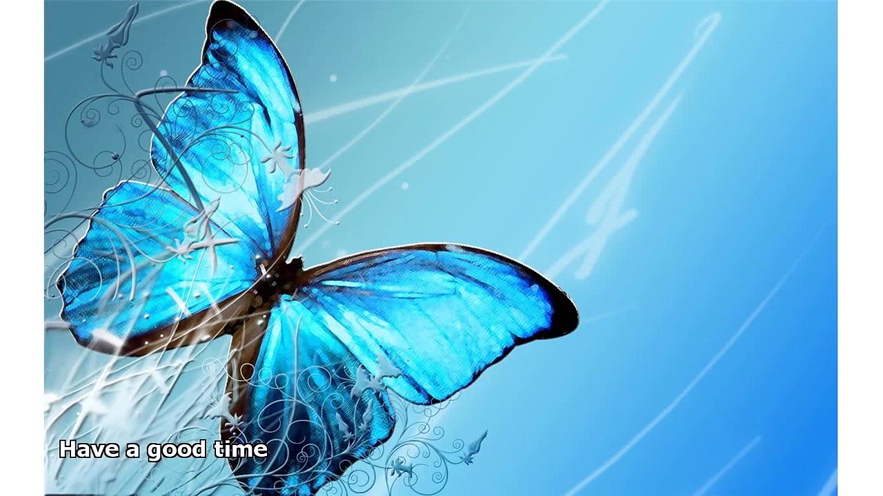 blue butterfly wallpaper