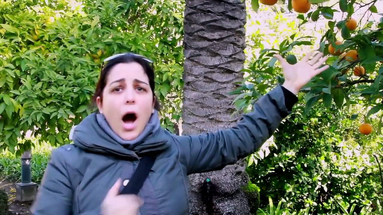 The Barbers in Seville.mov