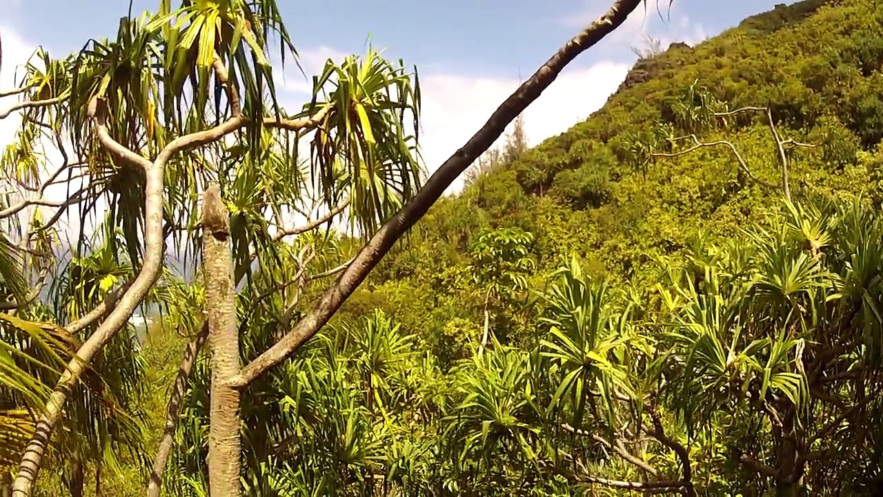 Hawaii, Kauai, Napali Coast, Molokai, helicopter flight, Aquasurround