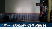 Donkey Calf Raises - Calf Exercise - Bodybuilding.com