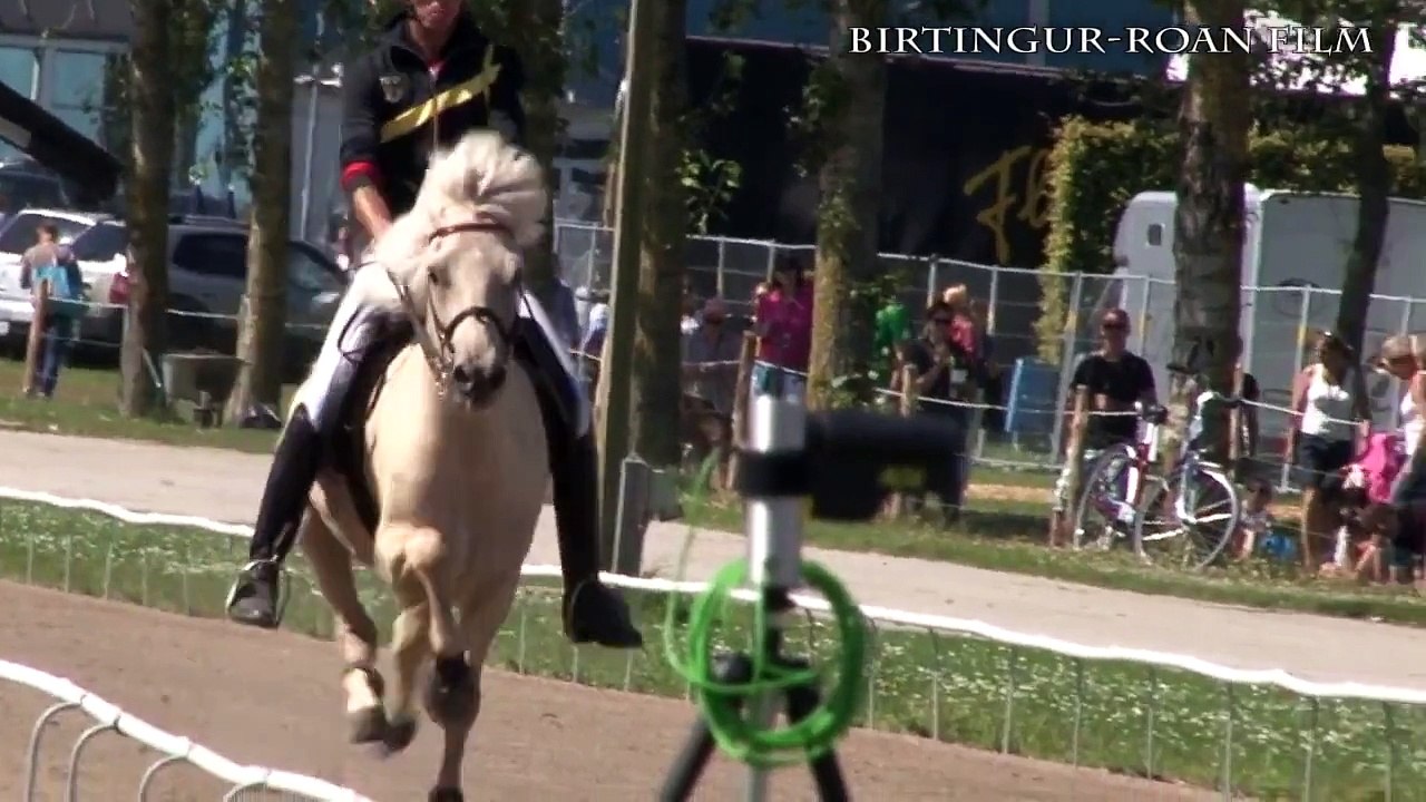 Helmut Bramesfeld, Blöndal vom Störtal, SpeedPass, WC Icelandic Horses, Islandpferde WM, VM Islandsh