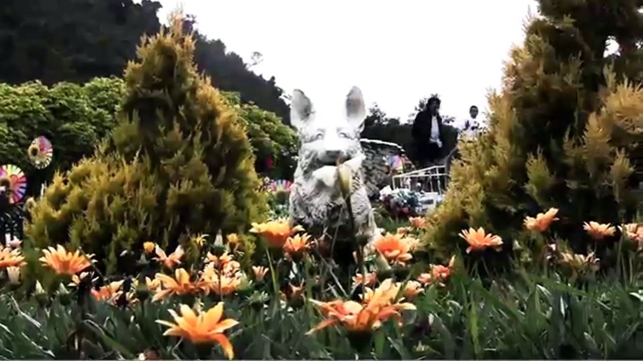 Cementerio de mascotas (bogota)