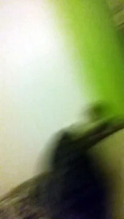 Baby Dillon dancing at 7months