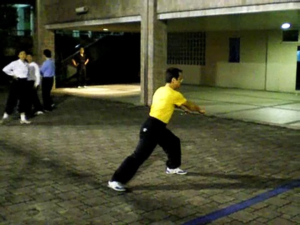 kung li quan 功力拳