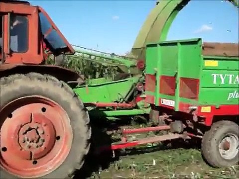 Koszenie kukurydzy na kiszonkę MTZ 82 ts Belarus 82 2x Ursus c 360