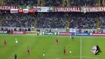Chris Baird red card in Northern Ireland-Hungary