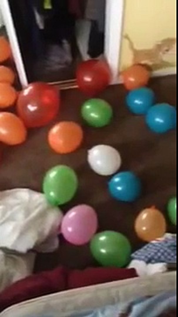 ⁣Balloon popping
