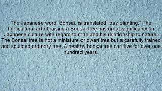 The Bonsai In Japanese Culture